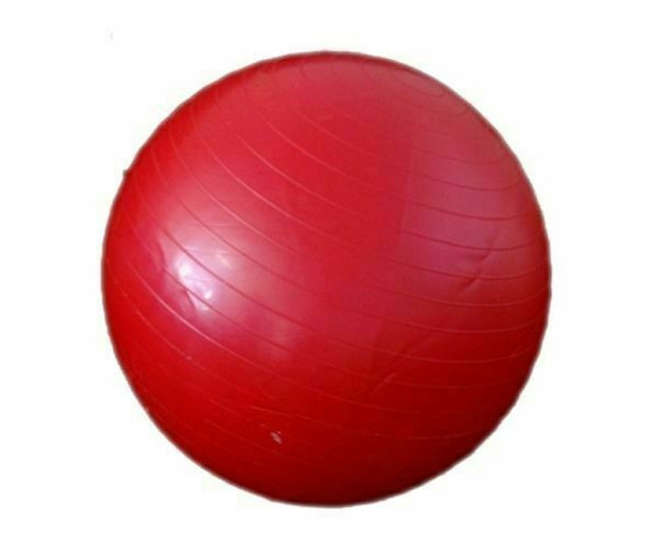 MORGAN Gym CONDITIONING Abdominal Balance Equipment Ball (55Cm)